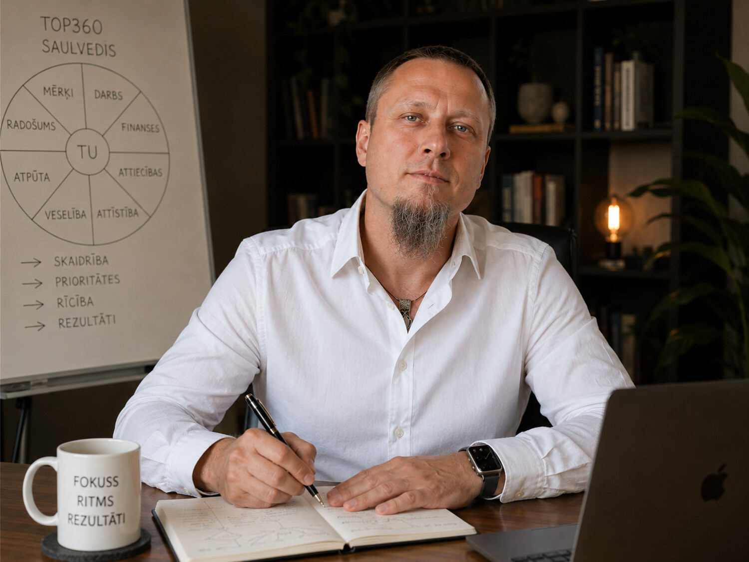 Reinis Druvietis — Sunny Mentor / Saulvedis